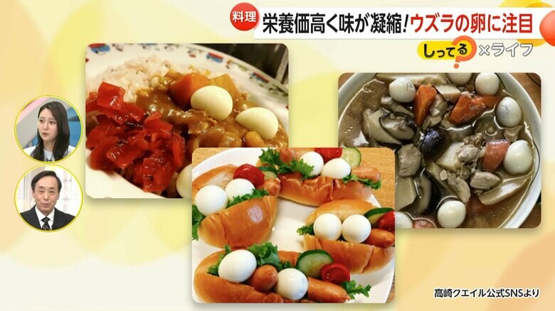 煮物やカレー、ホットドッグに足すこともおすすめというウズラの卵