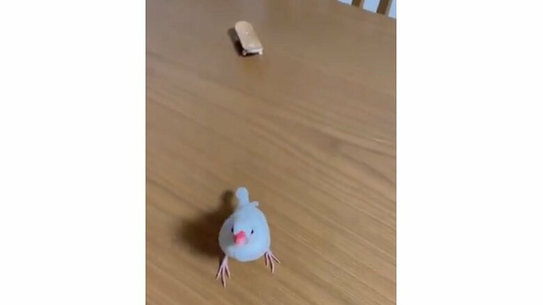 スケートボードから飛び降りた後、一度カメラ目線