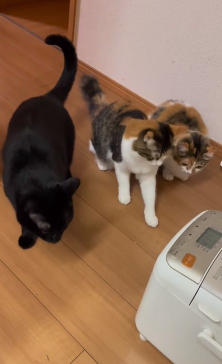 やっぱりビクッ