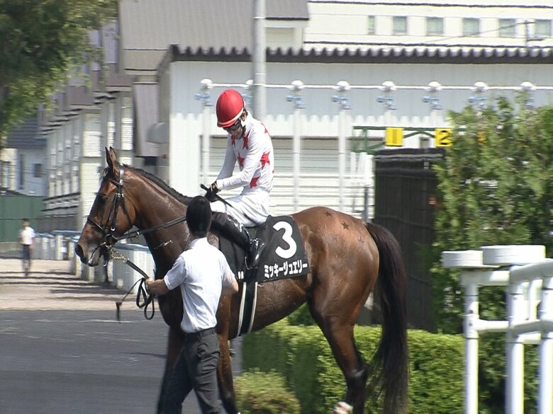 北海ハンデキャップを制したミッキージュエリー