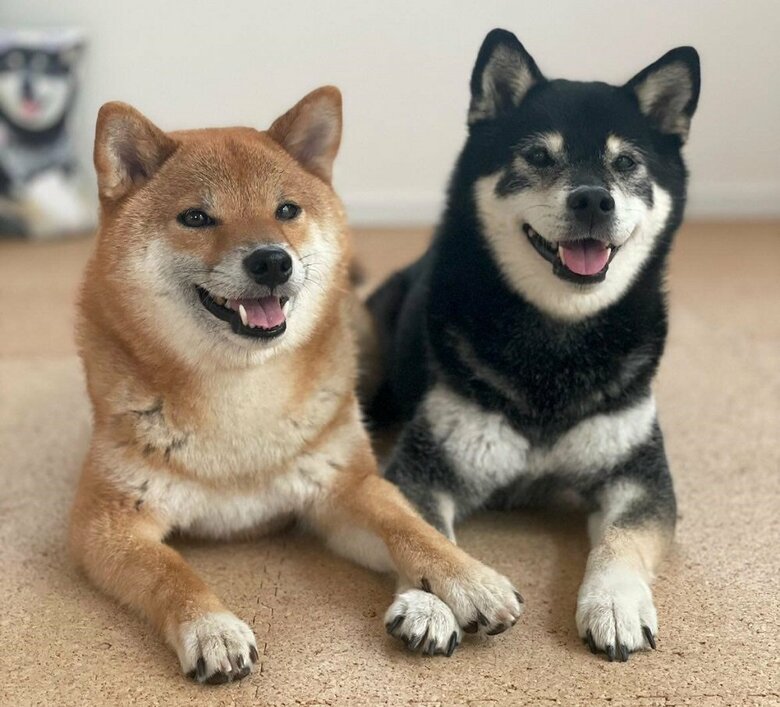 おててをクロス