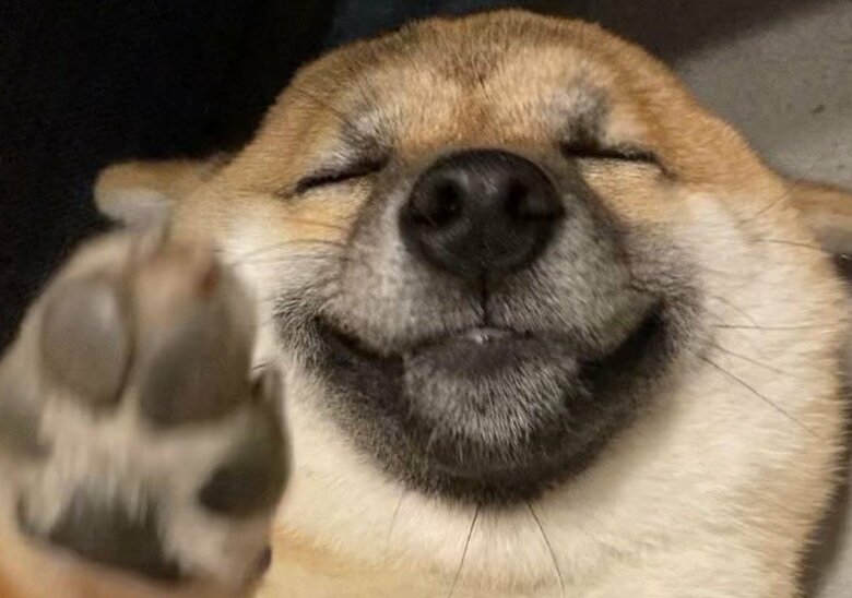 眠る時は幸せそうな表情をする