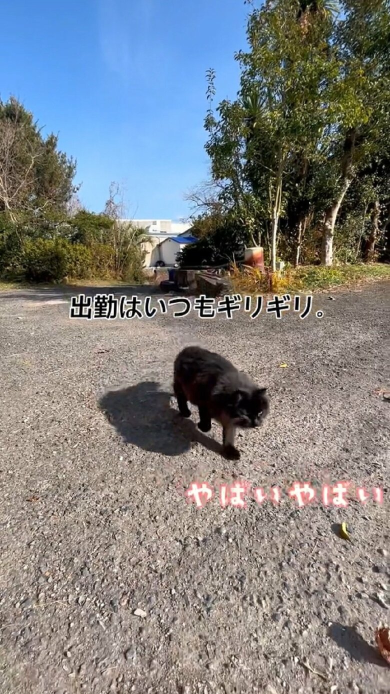 「やばいやばい」