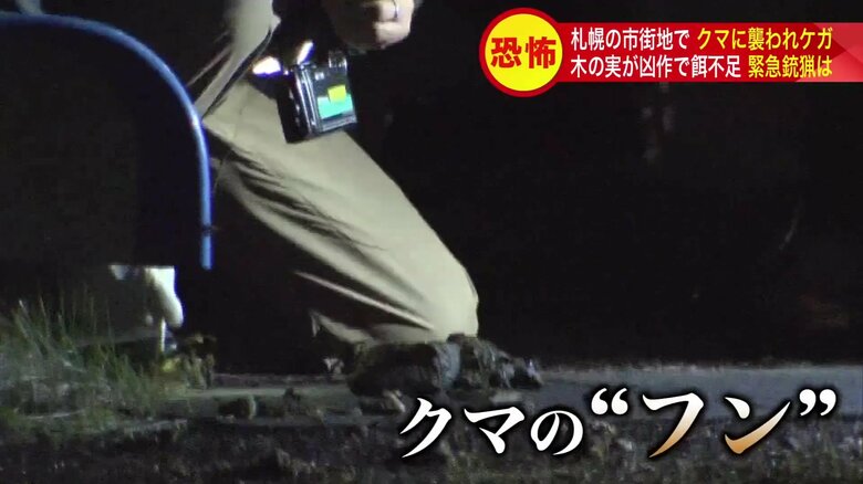 現場に残されたクマのフン