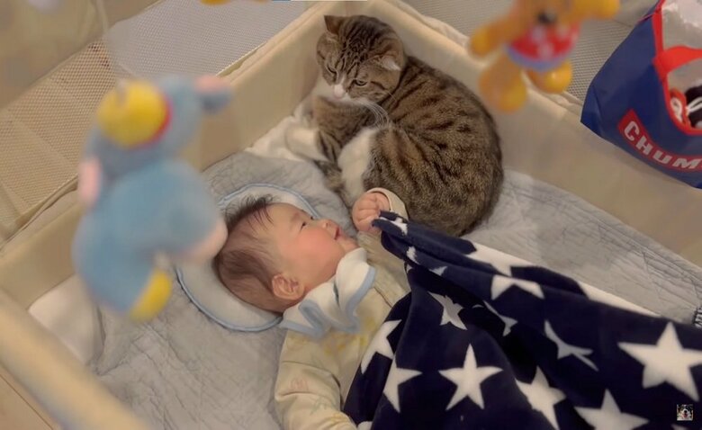 キウイくんを見てニッコリのアタチちゃん