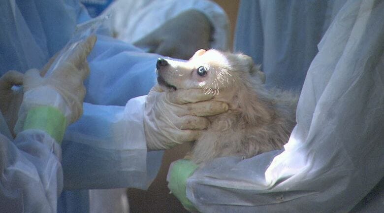 飼育施設への家宅捜索（長野県松本市　2021年9月）