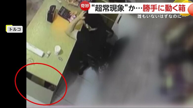 防犯カメラに映っていたのは「おばけ」ではなくネコ