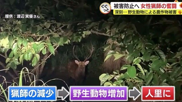 猟師不足が悪循環に