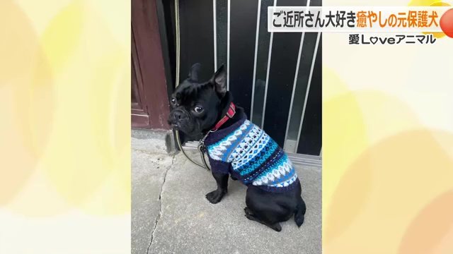 坂井さん宅に来た頃