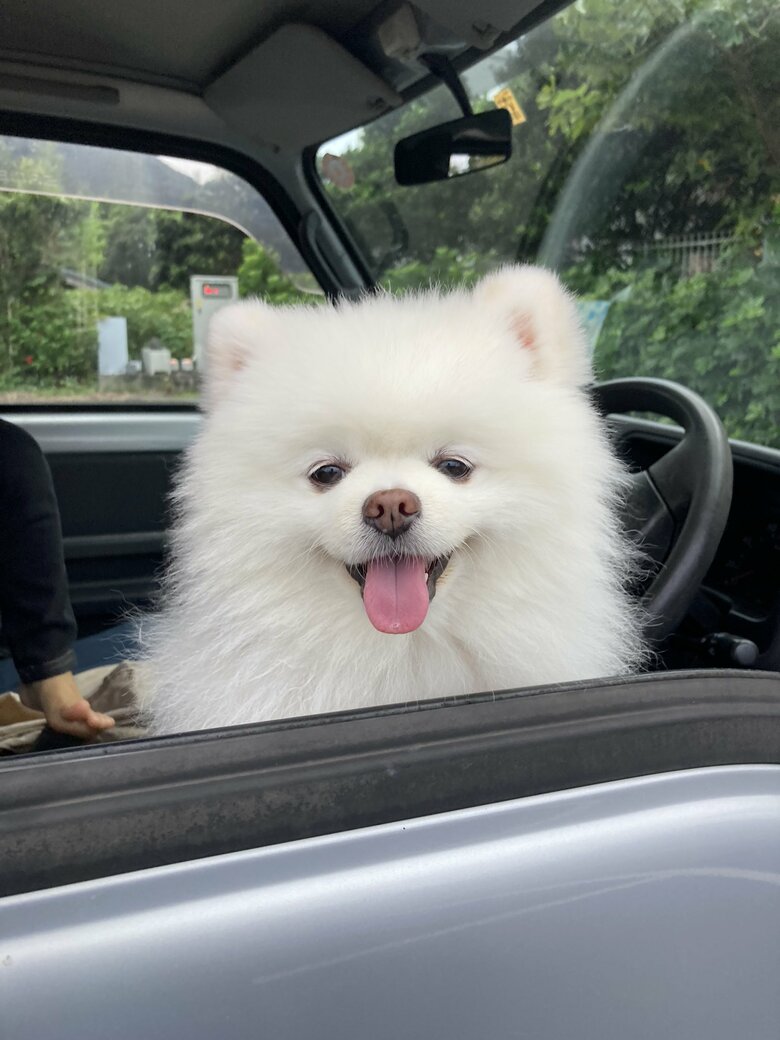 車窓からこんにちは