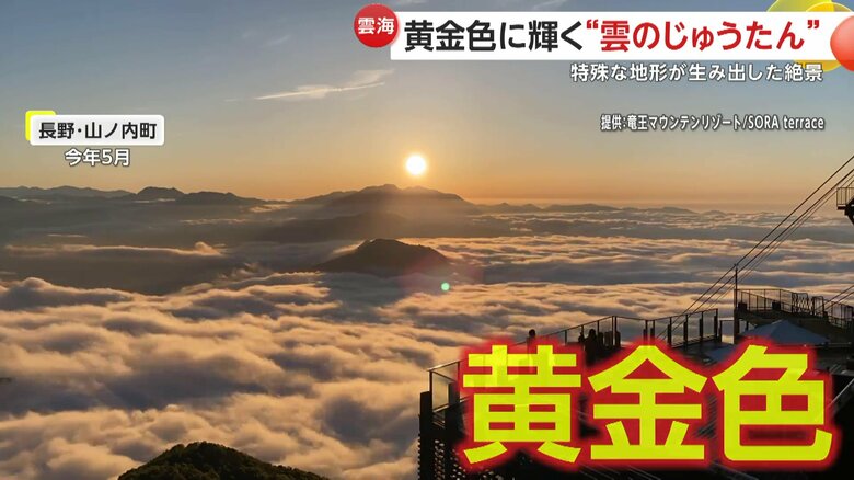 夕日で黄金色に染まる雲海