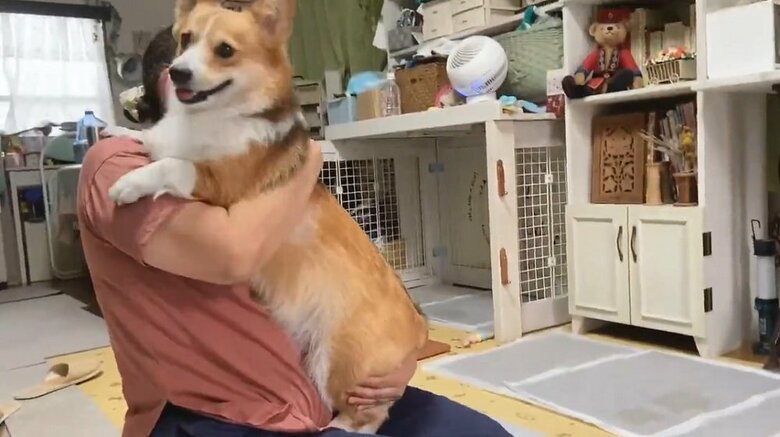 「おいで」の声に飼い主さんの元へ飛び込んだせこむちゃん