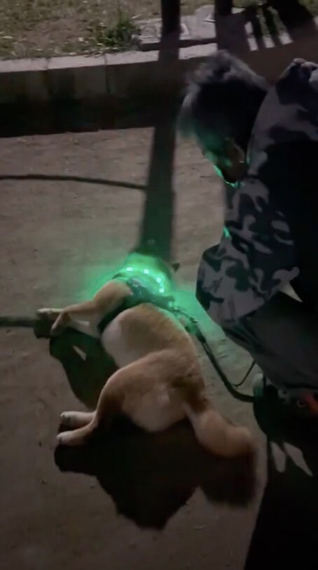 提供：カンさん