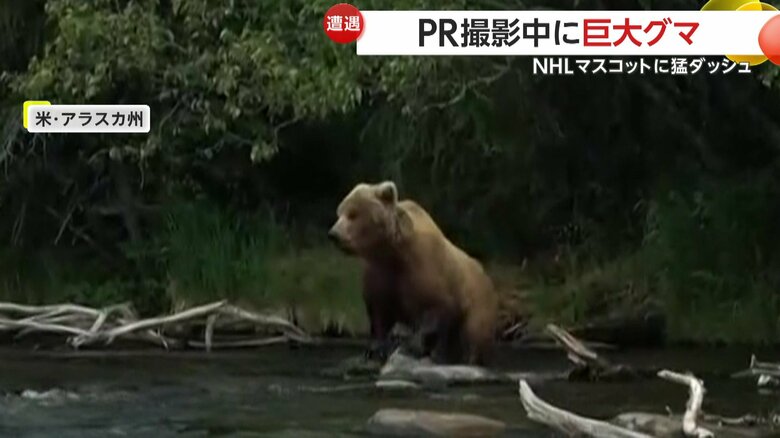 撮影クルーの背後に現われたクマ（SEATTLE KRAKEN）