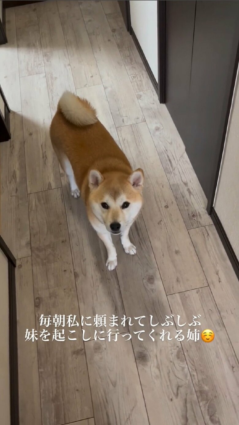 それを聞いた豆ちゃん「え？」といった表情