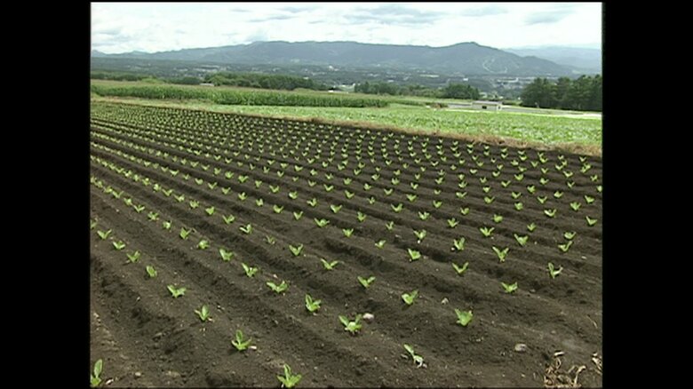 南ヶ原開拓地（長野・小諸市）