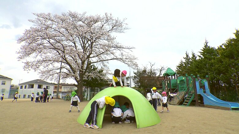 約30年前に植えられた