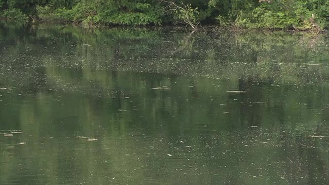 情報をもとに取材班が向かうと…