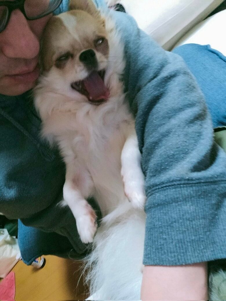 飼い主のスリスリにこの表情