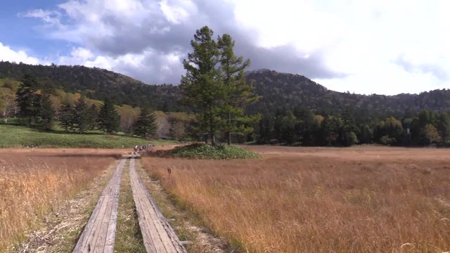 草紅葉が輝く尾瀬（2025年10月撮影）