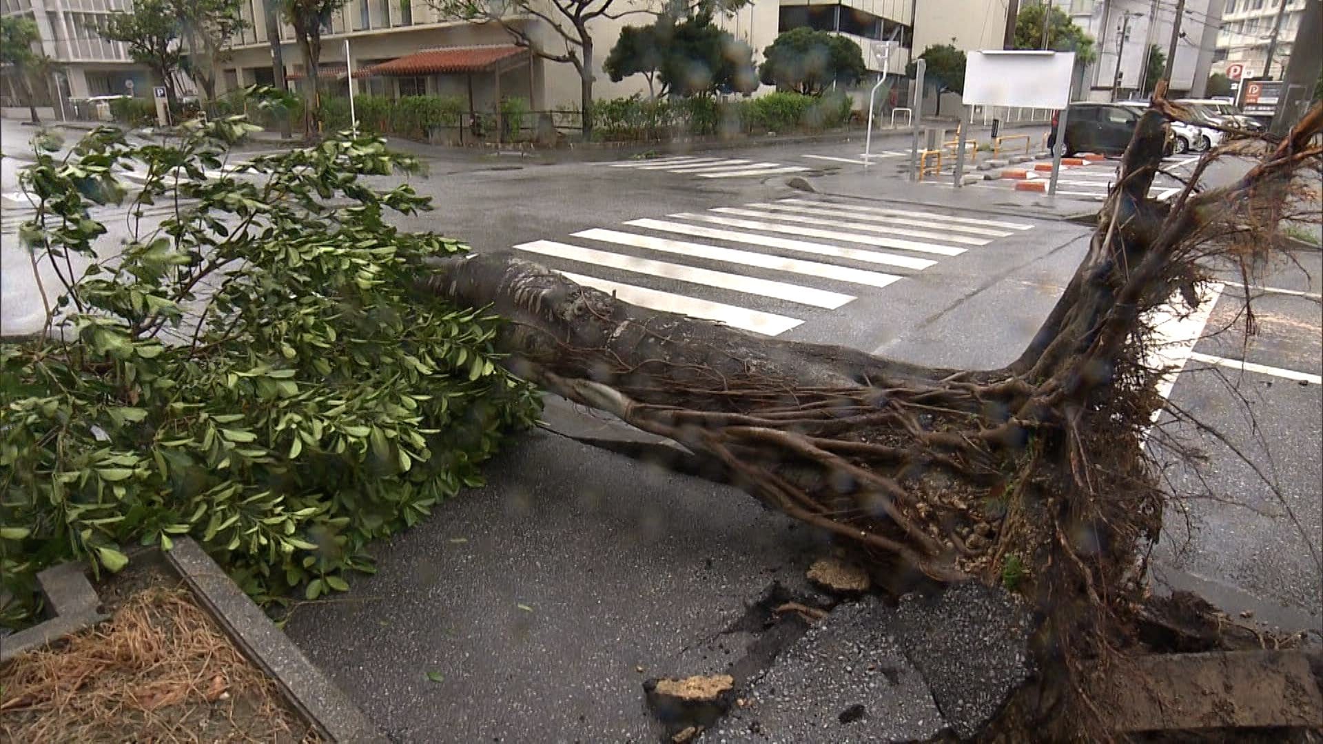 大型で非常に強い台風13号　離れた場所にも“影響”、列島各地でゲリラ雷雨　被災地熊本も警戒　15号は週明けにも東北地方に上陸か