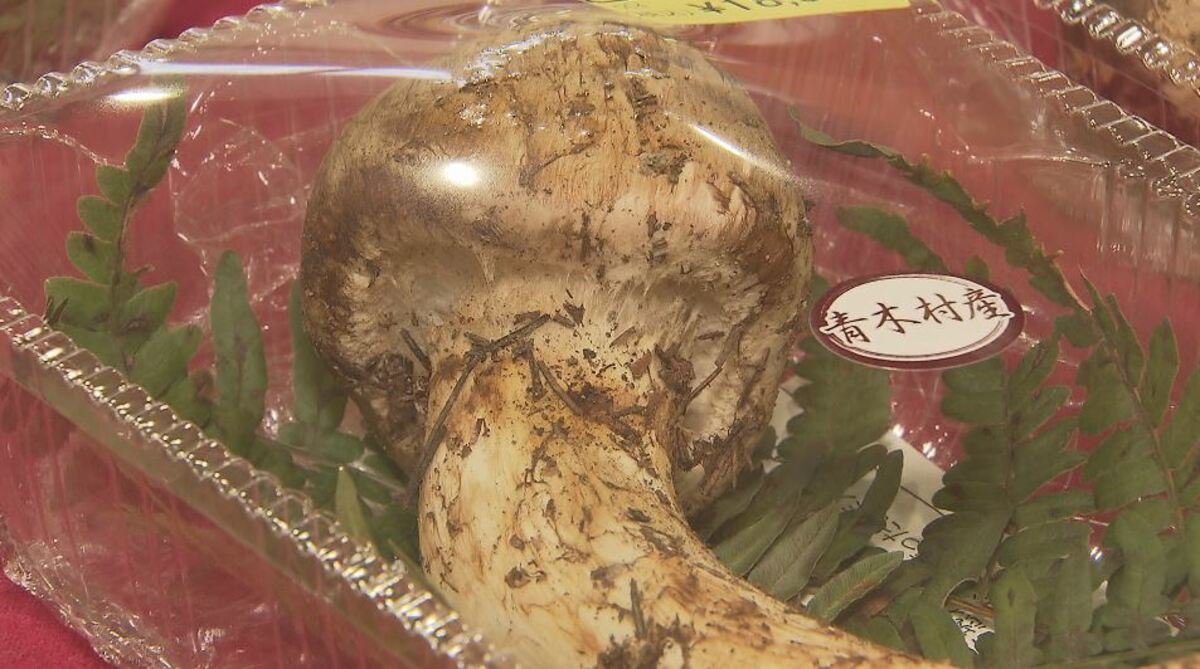 img_ac49565f27c4eb7e9d5009d28c