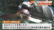 コツメカワウソもパクリ「のいち動物公園」で動物たちに好物入り“特製氷”プレゼント【高知】