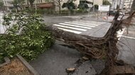 大型で非常に強い台風13号　離れた場所にも“影響”、列島各地でゲリラ雷雨　被災地熊本も警戒　15号は週明けにも東北地方に上陸か