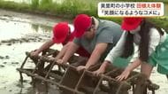 美里町の小学校で恒例の田植え体験　５年生８０人が泥だらけになりながら「つや姫」の苗を植える〈宮城〉