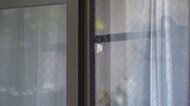 マンションに60代男女の遺体 息子とみられる36歳男聴取