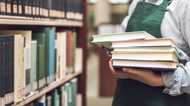 破れた本のセロハンテープでの補修はNG。その理由を図書館に聞いてみた
