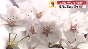 広島のサクラ満開「飲食・宴会ともなう花見は自粛を」