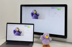 ネット通販の商品を「原寸大」で表示するシステムを埼玉県が開発…これで“がっかり”が減る?