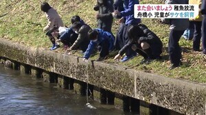 自分たちで育てたサケの稚魚放流「大きくなって元気に帰って」