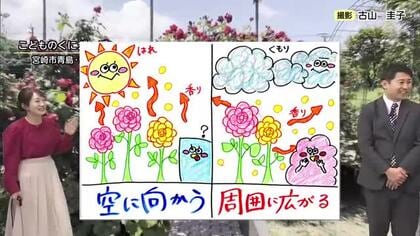 4月27日（月）宮崎の天気
