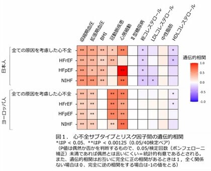 心不全のタイプごとに異なる遺伝的仕組みを解明―ゲノム解析で予後予測に道―