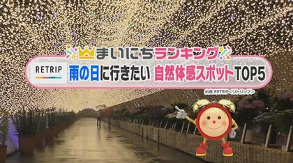 雨の日も楽しめる“自然体感スポットTOP5！雨の日ならではの魅力がたくさん　1位は情緒ある和の景色に癒やされる