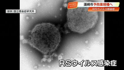 全国初、須崎市が全乳児向けにRSウイルス予防薬「ベイフォータス」無料接種へ 2025年6月頃開始