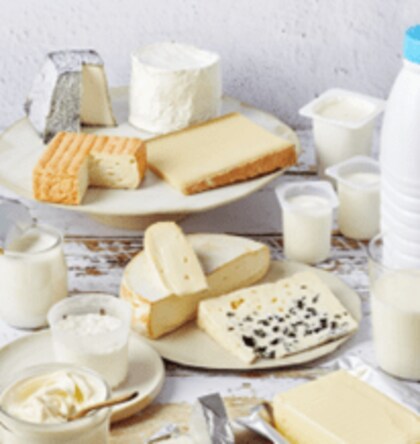 持続可能性への包括的アプローチを「フランス酪農産業の社会的責任2024」レポートで公開