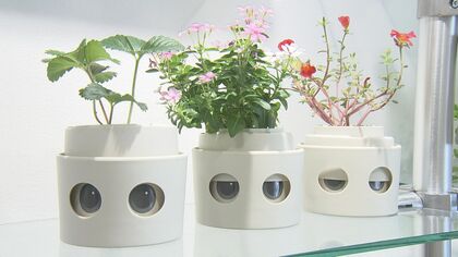 植物だけどペットみたい！水やりのタイミングを表情で教えてくれる「進化系プランター」 その驚きの仕組み【愛知発】