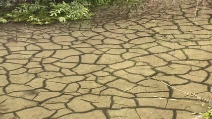 ため池の底がひび割れ、井戸枯渇　リニア工事の影響か…14カ所で水位低下を確認　「自然を壊した」住民苦言　岐阜・瑞浪市