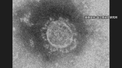 速報 新潟県で４２人の感染確認 新潟市１６人 その他地域２６