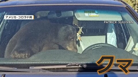 車のドアを開けたらクマ　助手席に巨大グマが“籠城”も　クマトラブル例年の2倍…原因はエサ不足　アメリカ