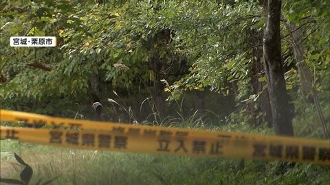 山形でキノコ採りの80歳男性けさ発見　滑落し動けず一時行方不明に　宮城では70代女性が行方不明のまま1年　近くにクマ注意の看板