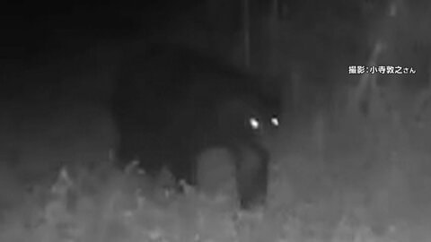 東京・八王子でクマ出没　付近に住宅地や小学校　クマよけ鈴持ち登下校も　専門家語る“東京ならではの注意点”「きちんとごみ出しを」