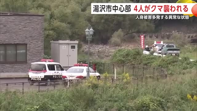 84歳の男性がクマに襲われた現場周辺(秋田・由利本荘市矢島町)