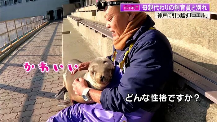 いつも仲良しの1人と1頭