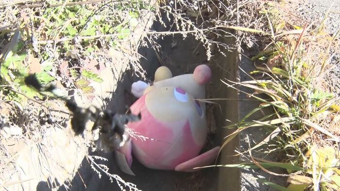 側溝に落ちていたぬいぐるみ