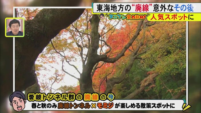 ニュースONE