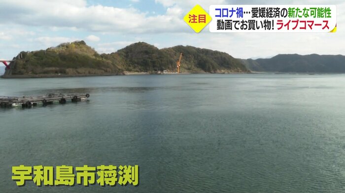 「四国のイタリア」宇和島市菰渕